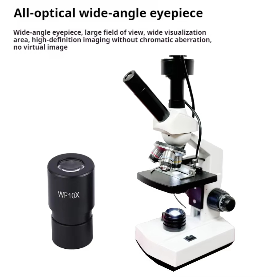 Top Verkauf HD Bildschirm Digi – Medical Laboratory Bewertung und Preis