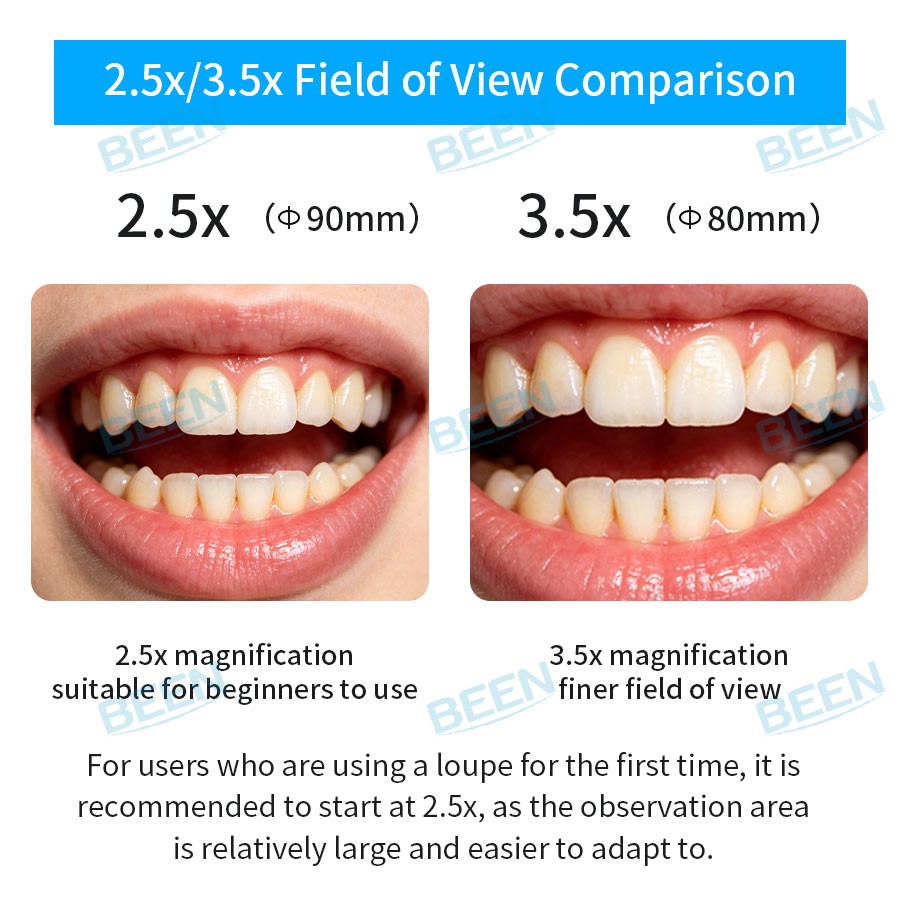 2,5x420mm Dental-Lupen Dental- – Medical Laboratory Bewertung und Preis
